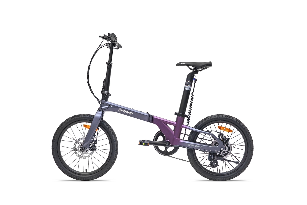Roden Pro - Image 2